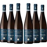 Pincel Vinho Verde Branco Produzido por Caves da Cerca em Amarante caixa de 6 garrafas